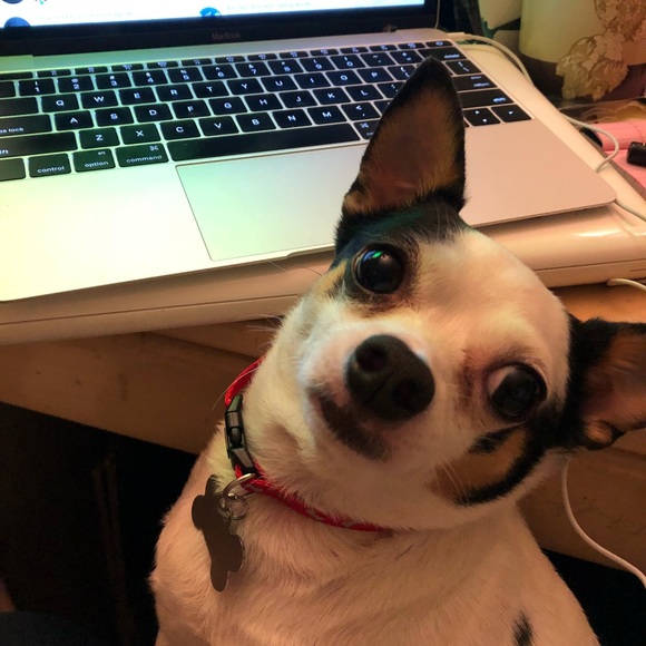 Meet your Posher, Tonya - Picture 3 of 3